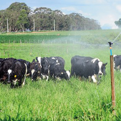 Aspersão convencional fixa e semi fixa